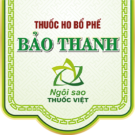 BẢO THANH - CÂU CHUYỆN TÔI KỂ